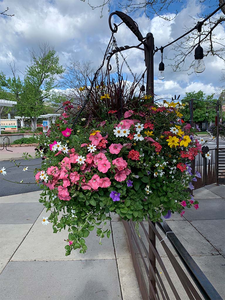 TVS_vert_0000s_0001_IMG_4263